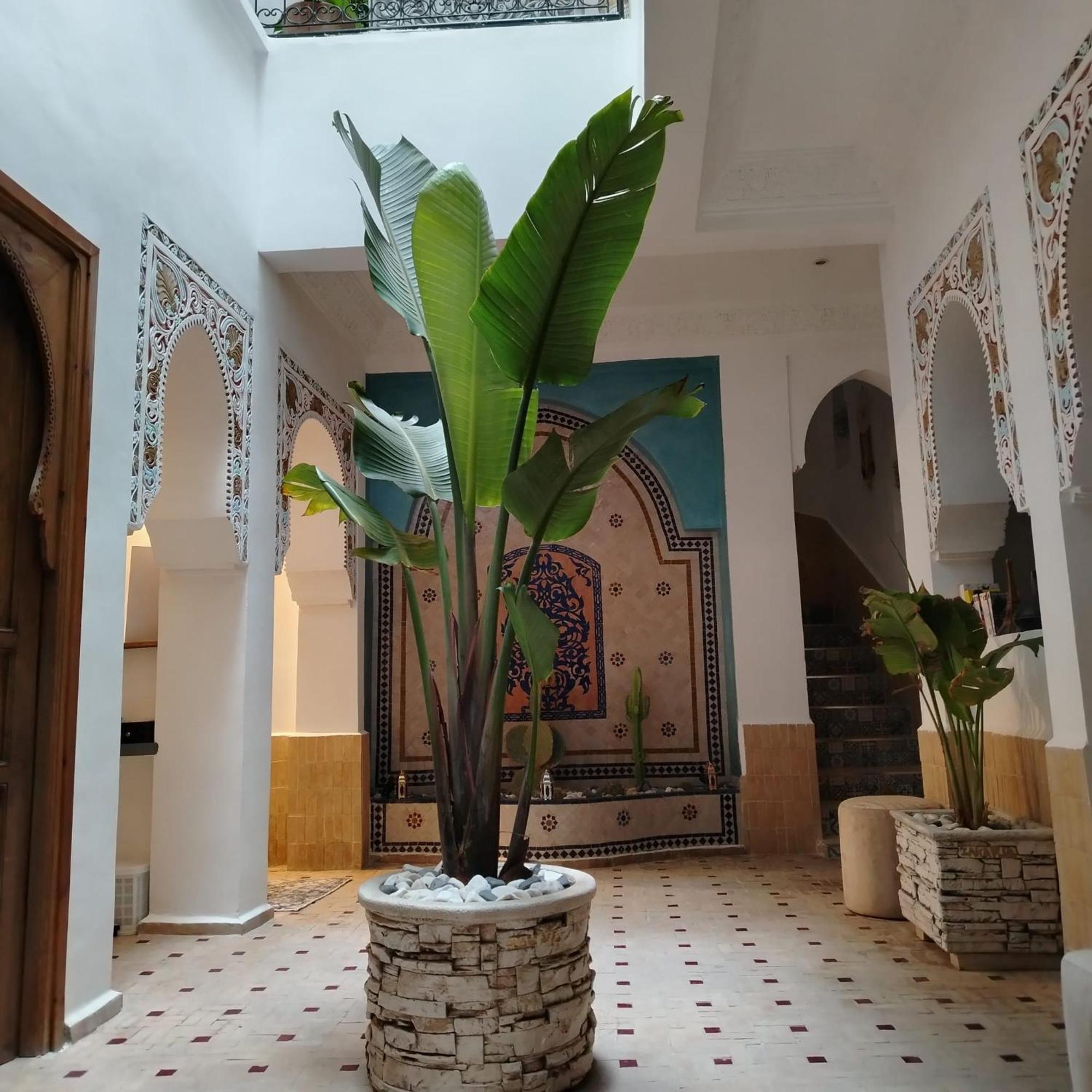 Riad & Spa Sous Le Soleil Chez Jerome Et Pamela Ch Marrakchi Marrakesh Exterior foto